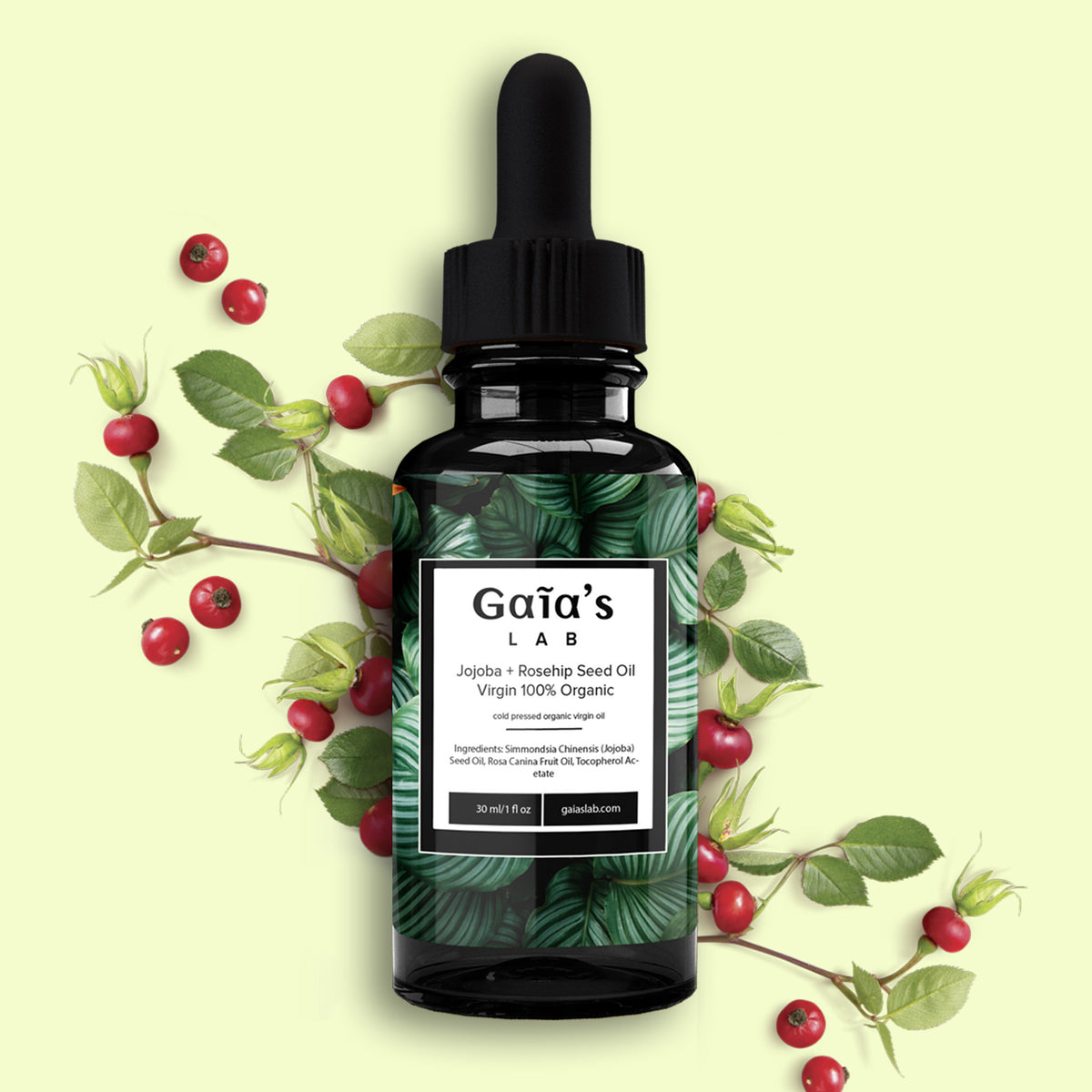 rosa canina seed extract Jojoba + Rosehip Seed Oil